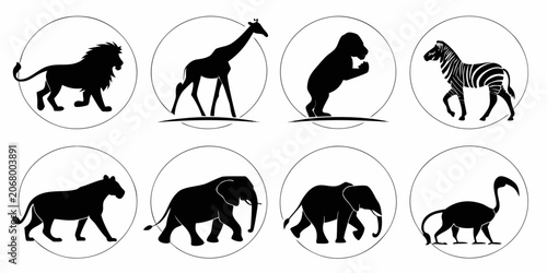 Photography Black silhouette of 12 different wild animals in style black silhouettes giraffe