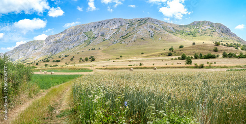 Piatra Secuiului and wheat fields in Romania