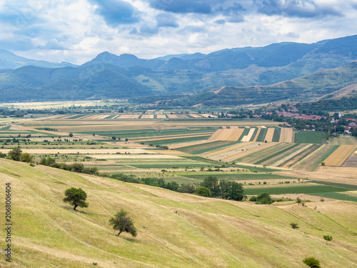 Wheat fields from  Piatra Secuiului mountain, Romania