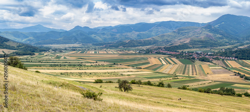 Wheat fields from  Piatra Secuiului mountain, Romania