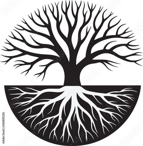 Tree Bare Branches Roots Silhouette Isolated on White