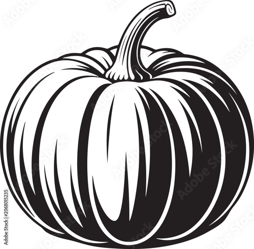 Black Pumpkin Illustration on White Background