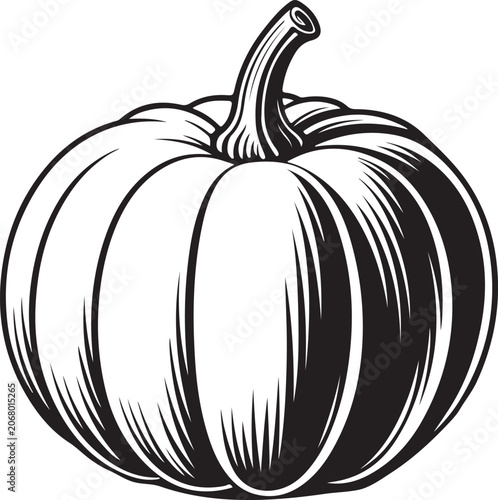 Black Pumpkin Illustration on White Background