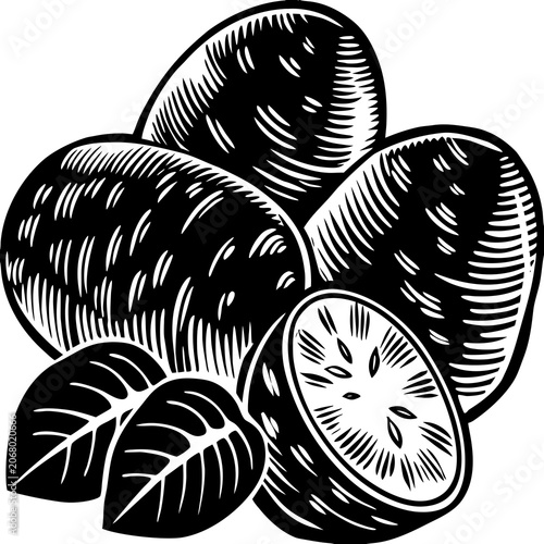 Potatoes illustration displays a group of starchy vegetables rendered in a classic woodcut engraving style.