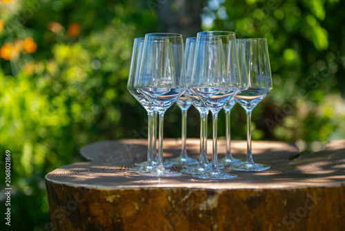 Row of clear wine glasses on rustic stump table in a sunlit garden with soft bokeh background, perfect for celebration, tasting, or event concepts.