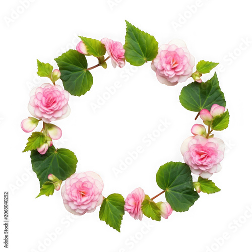 Pink Rose Floral Wreath Border Isolated on Transparent Background