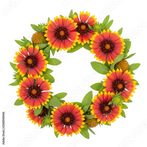 Sunflower Floral Wreath Frame Isolated on Transparent Background
