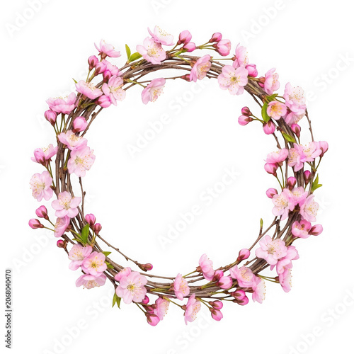 Pink Floral Wreath Frame with Spring Blossom Flowers Isolated on Transparent Background