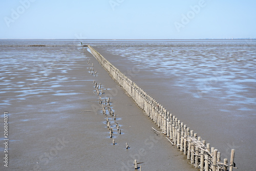 A scenic view of traditional wooden brushwood reclamation fences (Lahnungen) used for coastal protection and land reclamation in the Wadden Sea mudflats near Friedrichskoog, Germany.