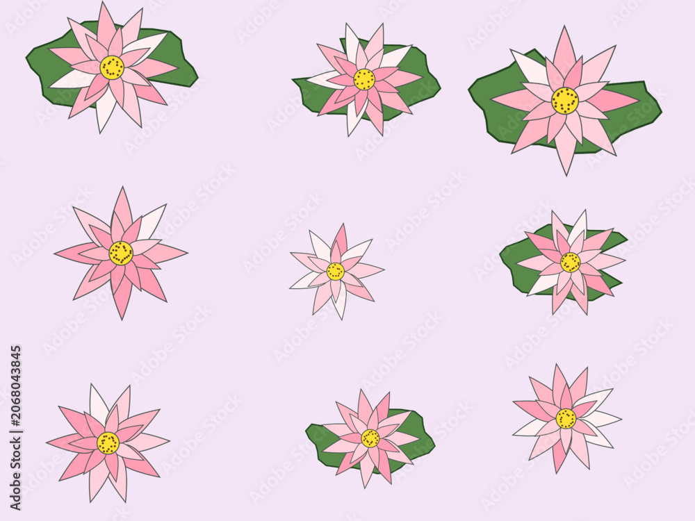 Obraz premium Lotus Bloom Water Lily Pattern Zen Background