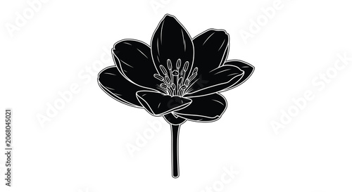 Black Floral Silhouette Of A Blossom On A Stem Minimalist Silhouette