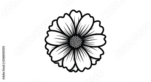 Daisy flower silhouette against a white background silhouette