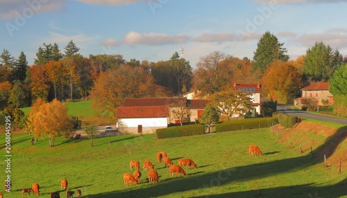 Obraz na plátně Village de Chantelauve ; Limoges ; Haute-Vienne ; Limousin ; Nouvelle Aquitaine