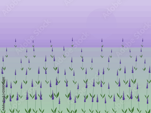 Lavender Field Sunset Landscape Pattern Vector
