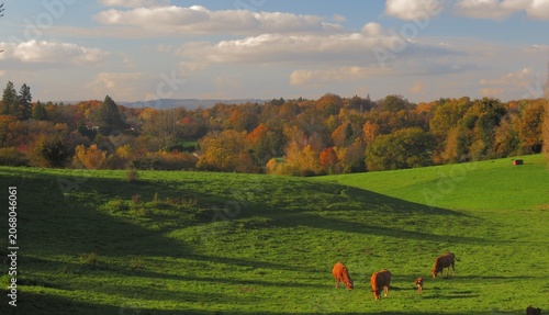 Village de Chantelauve ; Limoges ; Haute-Vienne ; Limousin ; Nouvelle Aquitaine