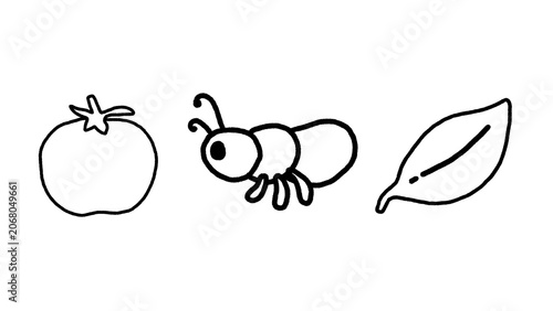 Hand-drawn black line art icons of cute kawaii ant, tomato and leaf isolated on white background. Cartoon illustration in doodle sketch style. Simplicity, minimalist graphic art.
