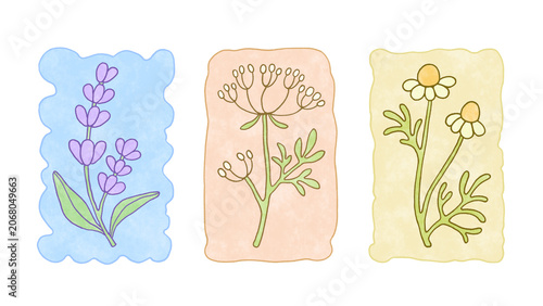 Vintage botanical pattern on a white background. Frames with hand-drawn lavender, chamomile, Queen Anne’s lace. Cute craft pastel design textured icons, line art elements, and cozy cottagecore style.