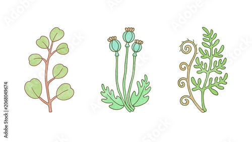 Vintage botanical pattern on a white background. Isolated hand-drawn eucalyptus leaves, poppy pods, fern frond. Cute craft pastel design textured icons, line art elements, cozy cottagecore style.