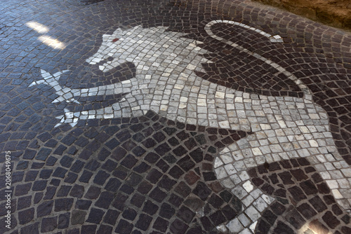 Fotografie Mosaico pavimentale in sampietrini bicolore che raffigura un leone rampante aral