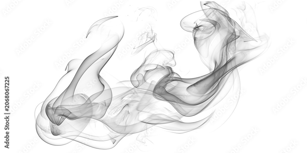 Fototapeta premium Dynamic Sketch of Running Horse in Motion with Flowing Mane and Tail Line Art
