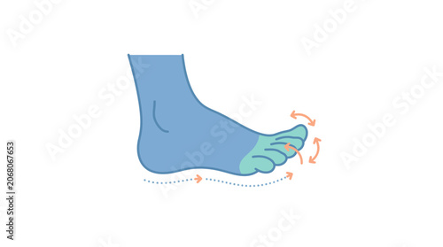 Illustration showing a foot with arrows indicating flexibility and movement in the toes