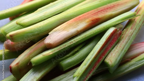 Close-up view of multiple green plant stems