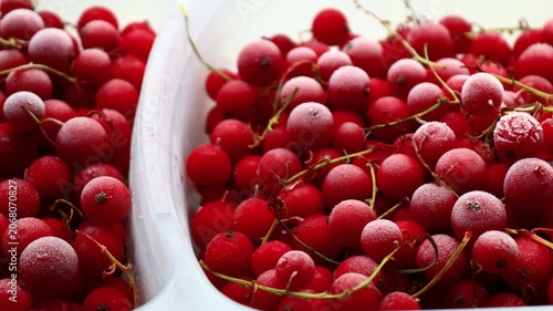 A white bowl filled with abundant red berries