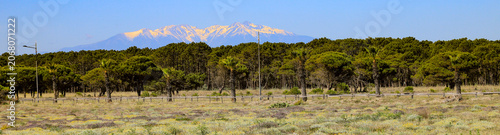 Canigou