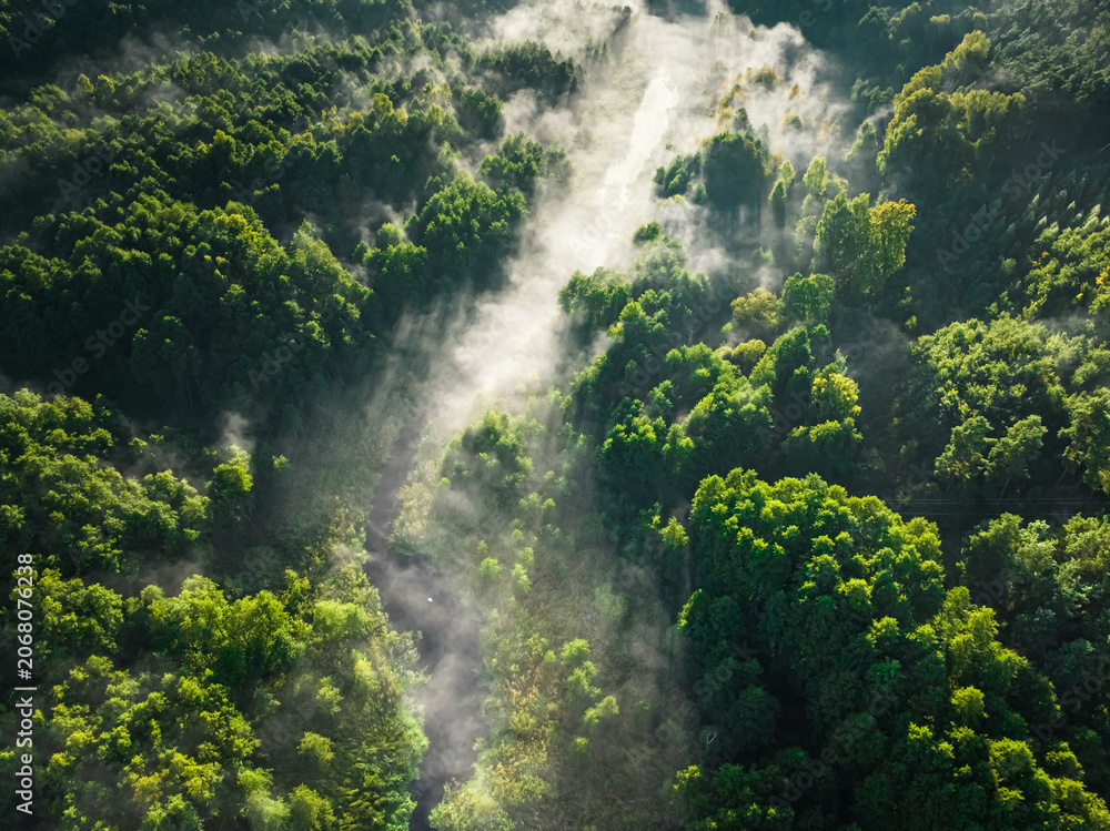 Naklejka premium Aerial view of mist in valley at sunrise in autumn.