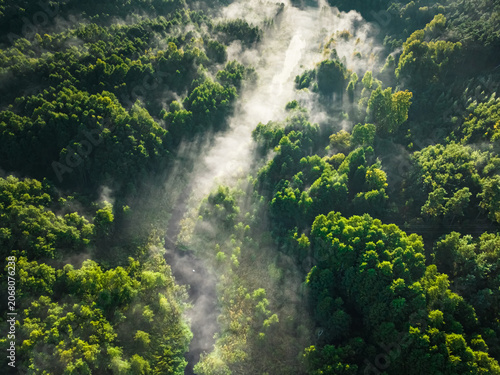 Aerial view of mist in valley at sunrise in autumn.