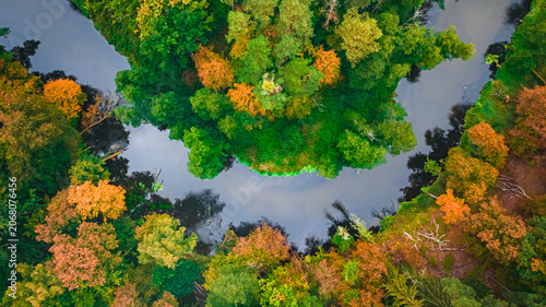 Amazing river and forest in fall. Aerial view of wildlife.
