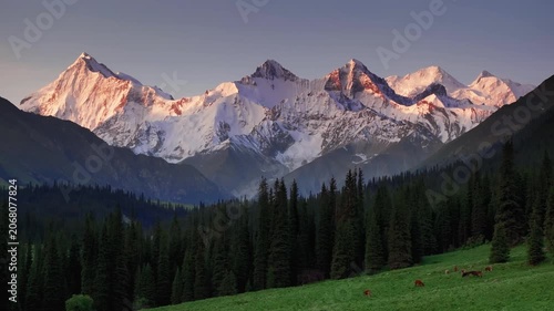 Sunrise on Snow-Covered Mountain Peaks Above Pine Forest and Meadow