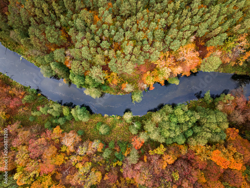 Top down view of forest and river in fall.