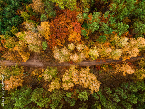 Country road and autumn forest in Poland