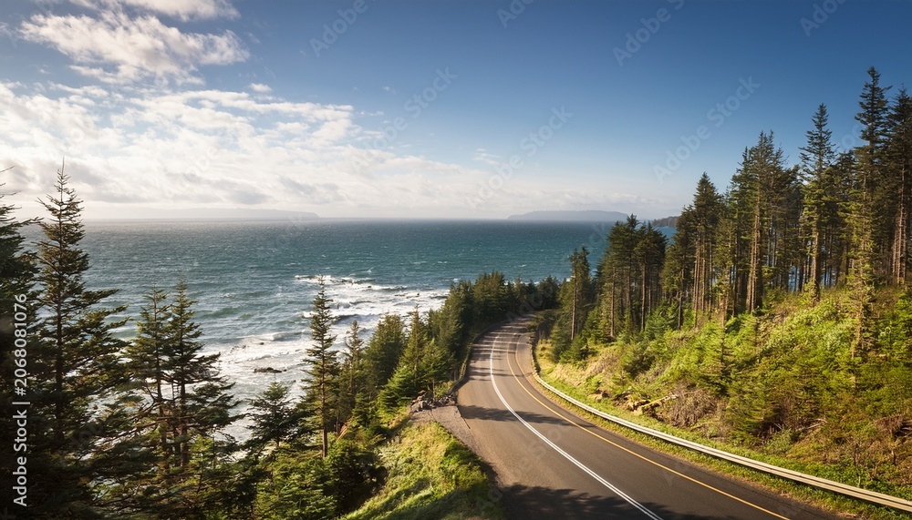 Fototapeta premium Peaceful Drive Through Nature Along A Coastal Forest Road And Ocean