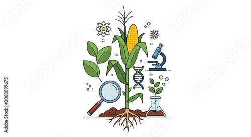 Agricultural science illustration with corn and research icons.