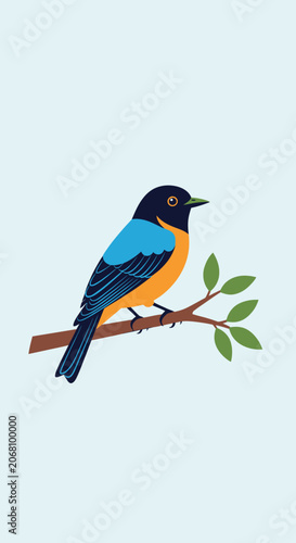 Blue and orange bird perched on a branch.