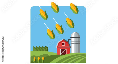 Corn cobs falling on red farm