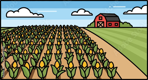 Corn field rows leading to a red farm barn.
