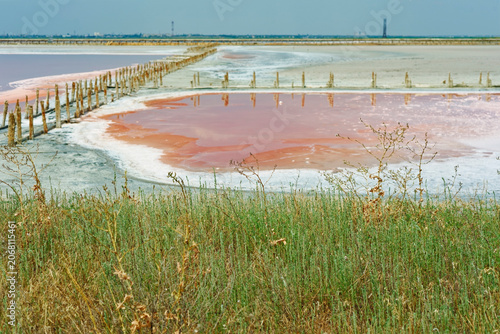 Industrial ecology and halophyte phytoremediation in Crimea, wide view of salt pan with Dunaliella salina brine and factory on background, educational asset for environmental textbook