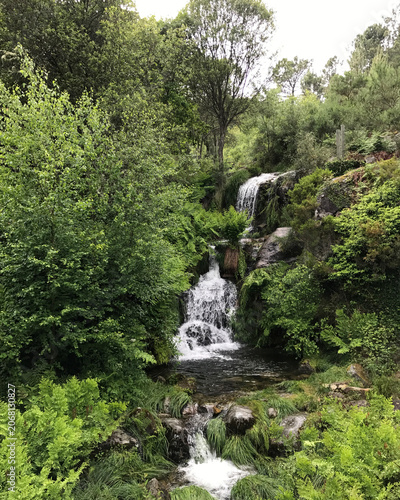 Lush Green Forest Waterfall Cascading Over Mossy Rocks in Portugal