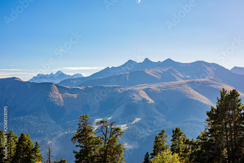 Horizontal caucasus mountain view framed by pine trees under clear blue sky in Arkhyz Karachay Cherkessia Russia.