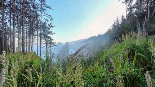 Grassy Views in front of Oregon Coast on Quiet Morning