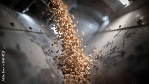 Wheat kernels fall through an industrial chute system inside a large scale food processing factory unit.