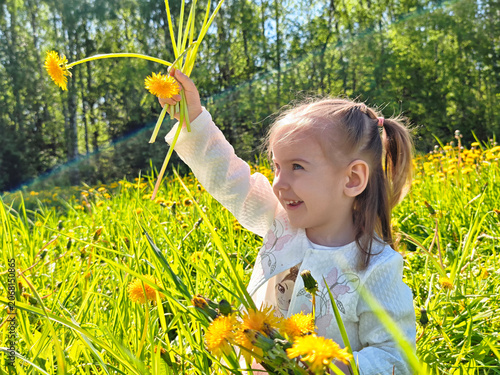 Obraz na płótnie Little girl enjoying a sunny day in a field of dandelions, smiling and picking f