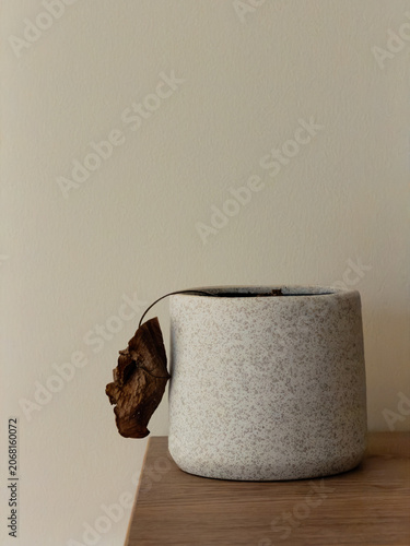 An indoor pot plant that has wilted and dried up hanging down over the ceramic pot that is on a wooden bench with copy space