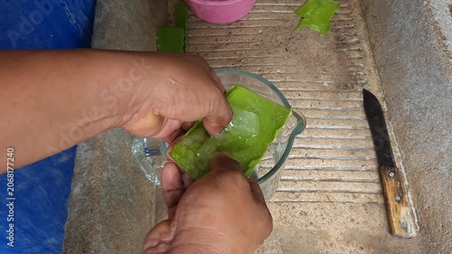 Adding Fresh Aloe Vera Gel Pieces into Blender Jar