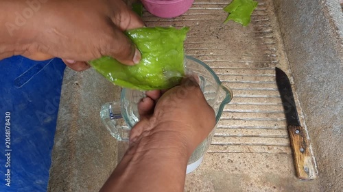 Hands Extracting Fresh Aloe Vera Pulp and Placing into Blender