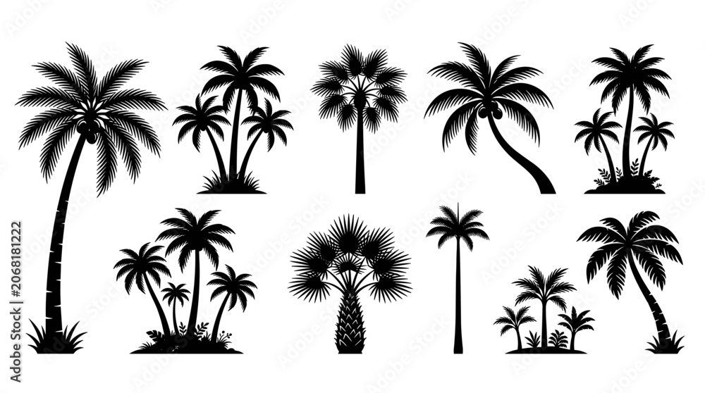 Fototapeta premium Collection of diverse black palm tree silhouettes against a white background