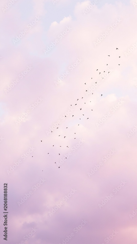 Obraz premium Silhouetted Birds Migrating Across a Pastel Sky